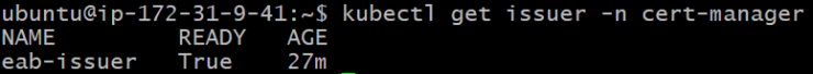 cert-manager-http-4.png