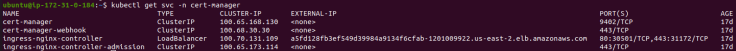 cert-manager-http-3.png