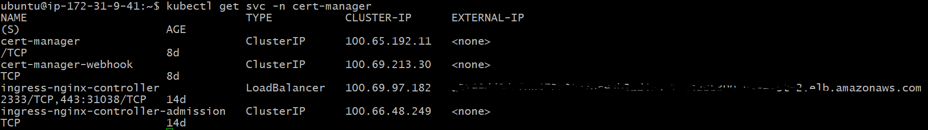 cert-manager-dns-2.png