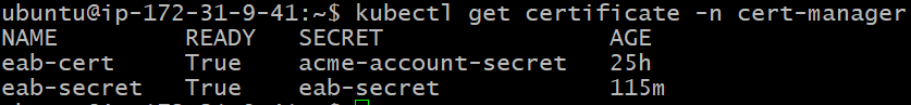 cert-manager-dns-4.png