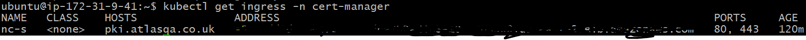 cert-manager-dns-6.png