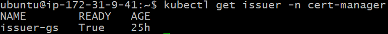 cert-manager-dns-3.png